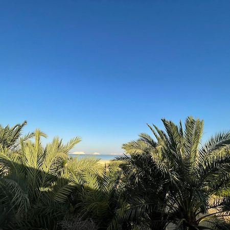 Hotel The Nest Siwa Oasis Exterior foto