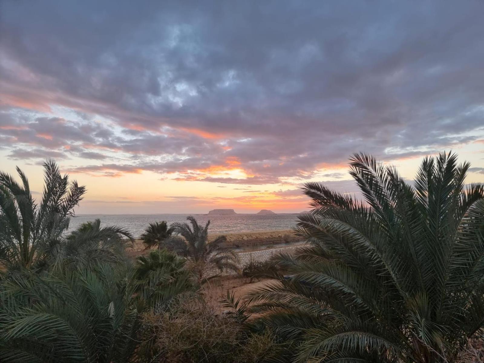 Hotel The Nest Siwa Oasis Exterior foto