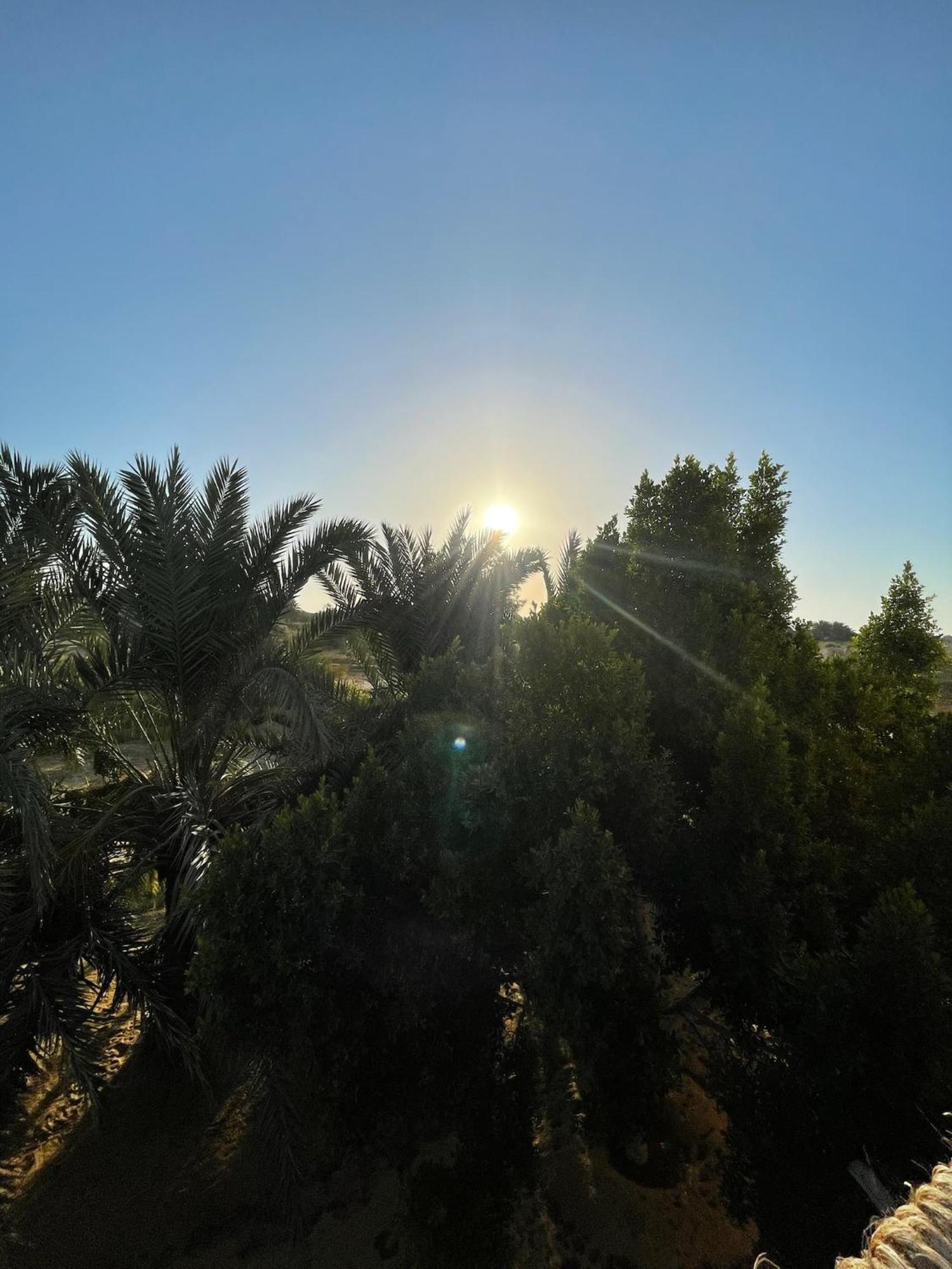 Hotel The Nest Siwa Oasis Exterior foto