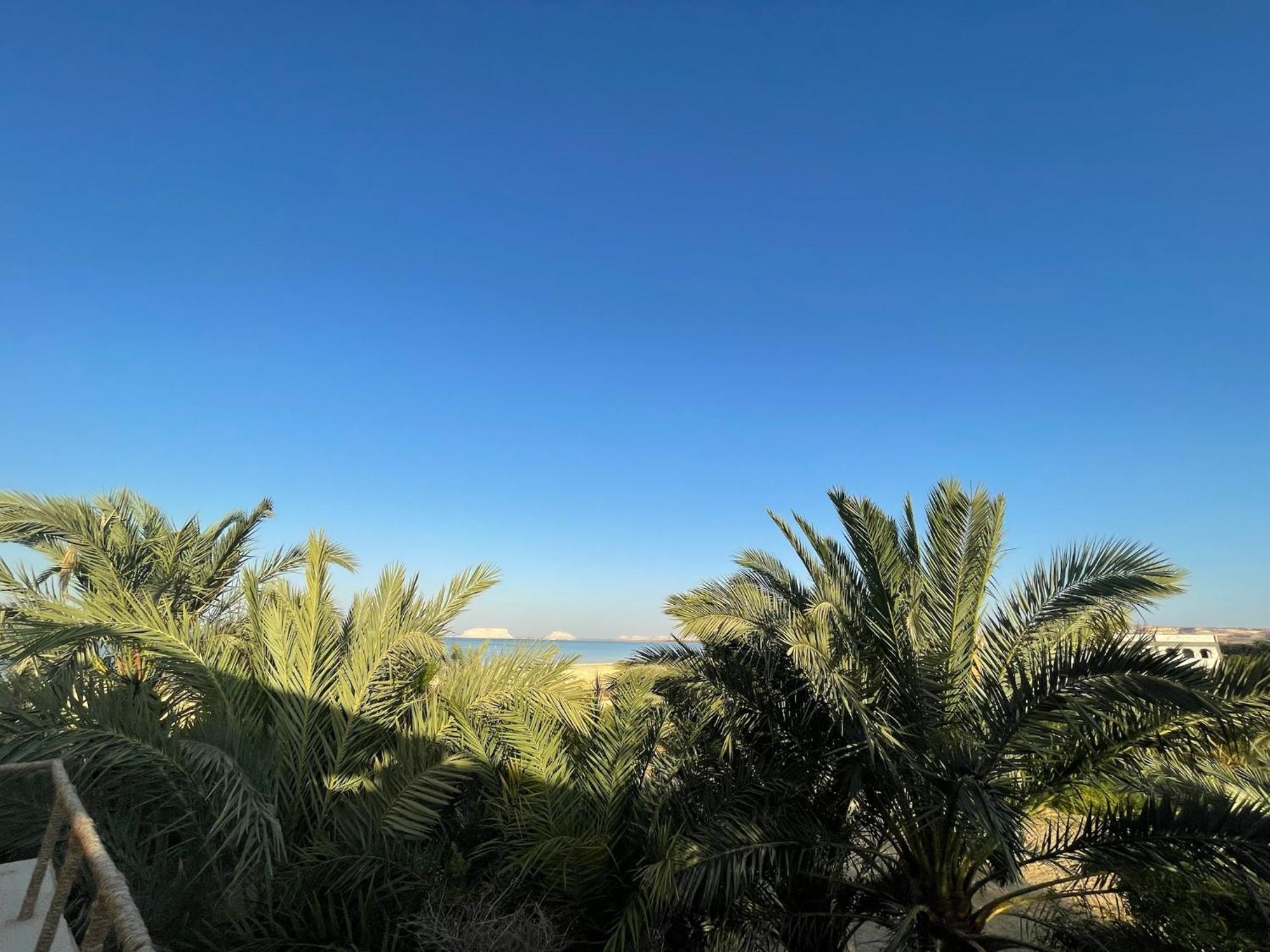 Hotel The Nest Siwa Oasis Exterior foto