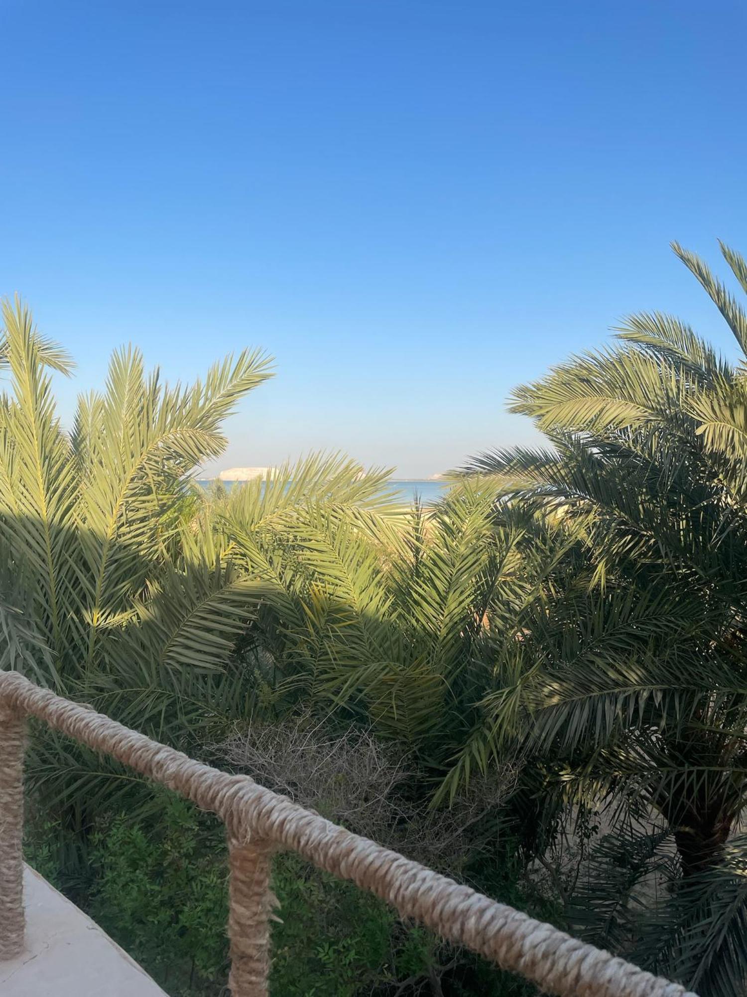 Hotel The Nest Siwa Oasis Exterior foto